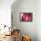 So Pure Collection - Beautiful Red Agate-Philippe Hugonnard-Framed Premier Image Canvas displayed on a wall