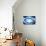 So Pure Collection - Blue Agate Look-Philippe Hugonnard-Photographic Print displayed on a wall