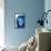 So Pure Collection - Blue Agate-Philippe Hugonnard-Framed Premier Image Canvas displayed on a wall