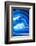 So Pure Collection - Close-up of Blue Agate-Philippe Hugonnard-Framed Photographic Print