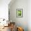 So Pure Collection - Close-up of Green Agate-Philippe Hugonnard-Framed Photographic Print displayed on a wall