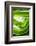 So Pure Collection - Close-up of Green Agate-Philippe Hugonnard-Framed Photographic Print