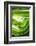 So Pure Collection - Close-up of Green Agate-Philippe Hugonnard-Framed Photographic Print