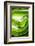 So Pure Collection - Close-up of Green Agate-Philippe Hugonnard-Framed Photographic Print
