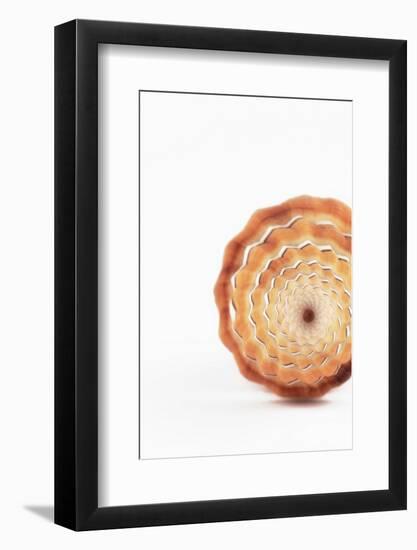 So Pure Collection - Close-up of Mitra Compressum-Philippe Hugonnard-Framed Photographic Print