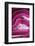 So Pure Collection - Close-up of Pink Agate-Philippe Hugonnard-Framed Photographic Print