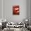 So Pure Collection - Close-up of Red Agate-Philippe Hugonnard-Framed Photographic Print displayed on a wall