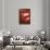 So Pure Collection - Close-up of Red Agate-Philippe Hugonnard-Framed Photographic Print displayed on a wall