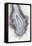 So Pure Collection - Drop of Agate II-Philippe Hugonnard-Framed Premier Image Canvas