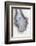 So Pure Collection - Drop of Agate II-Philippe Hugonnard-Framed Photographic Print