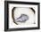 So Pure Collection - Drop of Agate-Philippe Hugonnard-Framed Photographic Print