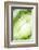 So Pure Collection - Green Agate Heart-Philippe Hugonnard-Framed Photographic Print