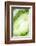 So Pure Collection - Green Agate Heart-Philippe Hugonnard-Framed Photographic Print