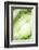 So Pure Collection - Green Agate Heart-Philippe Hugonnard-Framed Photographic Print