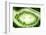 So Pure Collection - Green Agate Look-Philippe Hugonnard-Framed Photographic Print