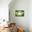 So Pure Collection - Green Agate Look-Philippe Hugonnard-Framed Premier Image Canvas displayed on a wall