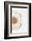 So Pure Collection - Natural Sea Urchin Shell III-Philippe Hugonnard-Framed Photographic Print