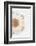 So Pure Collection - Natural Sea Urchin Shell III-Philippe Hugonnard-Framed Photographic Print