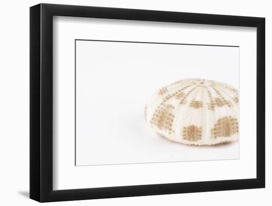 So Pure Collection - Natural Sea Urchin Shell-Philippe Hugonnard-Framed Photographic Print