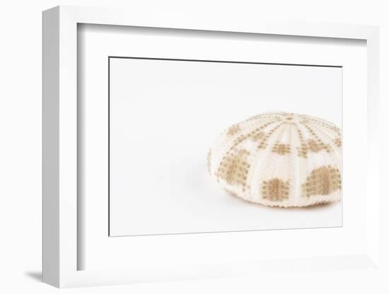 So Pure Collection - Natural Sea Urchin Shell-Philippe Hugonnard-Framed Photographic Print