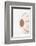 So Pure Collection - Natural Seashell-Philippe Hugonnard-Framed Photographic Print