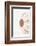 So Pure Collection - Natural Seashell-Philippe Hugonnard-Framed Photographic Print