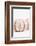 So Pure Collection - Natural Seashells II-Philippe Hugonnard-Framed Photographic Print