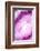 So Pure Collection - Pink Agate Heart-Philippe Hugonnard-Framed Photographic Print