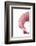 So Pure Collection - Pink Scallop Seashell II-Philippe Hugonnard-Framed Photographic Print