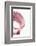 So Pure Collection - Pink Scallop Seashell III-Philippe Hugonnard-Framed Photographic Print