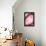 So Pure Collection - Red Agate Heart-Philippe Hugonnard-Framed Premier Image Canvas displayed on a wall