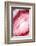 So Pure Collection - Red Agate Heart-Philippe Hugonnard-Framed Photographic Print