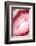 So Pure Collection - Red Agate Heart-Philippe Hugonnard-Framed Photographic Print