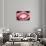 So Pure Collection - Red Agate Look-Philippe Hugonnard-Photographic Print displayed on a wall