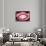 So Pure Collection - Red Agate Look-Philippe Hugonnard-Framed Photographic Print displayed on a wall