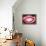 So Pure Collection - Red Agate Look-Philippe Hugonnard-Framed Premier Image Canvas displayed on a wall