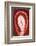 So Pure Collection - Red Agate Slice-Philippe Hugonnard-Framed Photographic Print