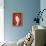 So Pure Collection - Red Agate Slice-Philippe Hugonnard-Framed Premier Image Canvas displayed on a wall