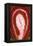 So Pure Collection - Red Agate Slice-Philippe Hugonnard-Framed Premier Image Canvas