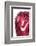 So Pure Collection - Red Agate-Philippe Hugonnard-Framed Photographic Print