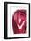 So Pure Collection - Red Agate-Philippe Hugonnard-Framed Photographic Print