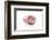 So Pure Collection - Red Spondylus Seashell-Philippe Hugonnard-Framed Photographic Print