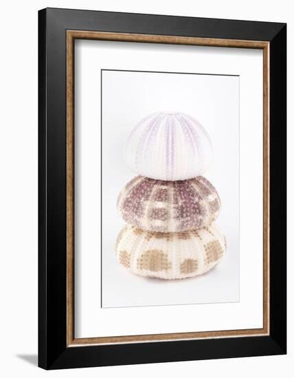 So Pure Collection - Sea Urchin Pyramid-Philippe Hugonnard-Framed Photographic Print
