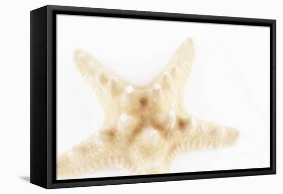 So Pure Collection - Seashell Star II-Philippe Hugonnard-Framed Premier Image Canvas
