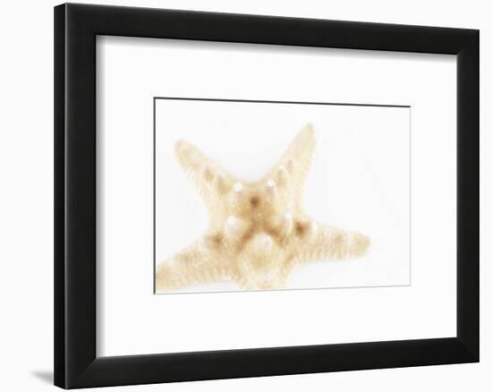 So Pure Collection - Seashell Star II-Philippe Hugonnard-Framed Photographic Print