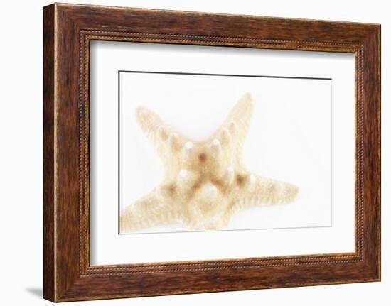 So Pure Collection - Seashell Star II-Philippe Hugonnard-Framed Photographic Print