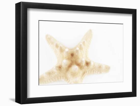 So Pure Collection - Seashell Star II-Philippe Hugonnard-Framed Photographic Print