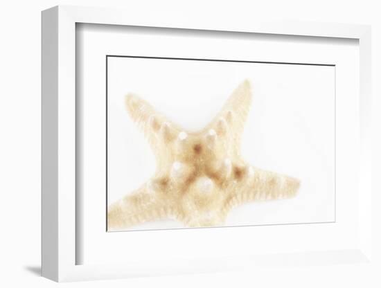 So Pure Collection - Seashell Star II-Philippe Hugonnard-Framed Photographic Print