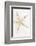 So Pure Collection - Seashell Star-Philippe Hugonnard-Framed Photographic Print