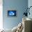 So Pure Collection - Slice of Blue Agate-Philippe Hugonnard-Framed Premier Image Canvas displayed on a wall